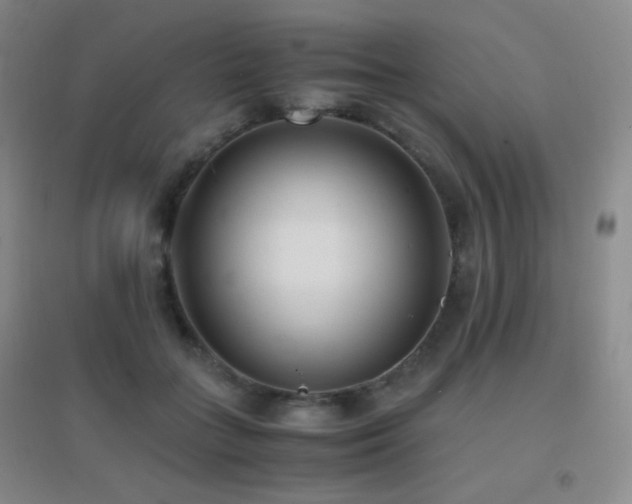 X0000096730555200802051443