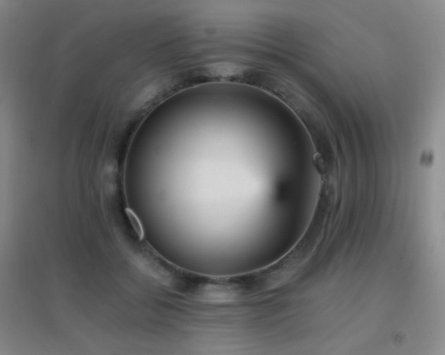 X0000096730556200802051443