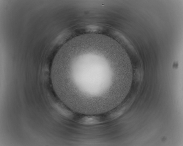 X0000096730557200802051443