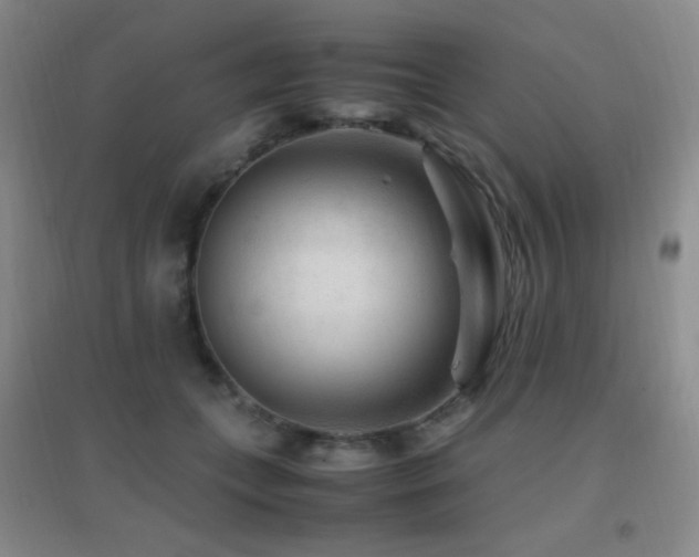 X0000096730559200802051443
