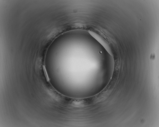 X0000096730560200802051443