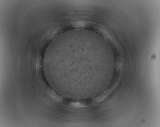 X0000096730561200802051443