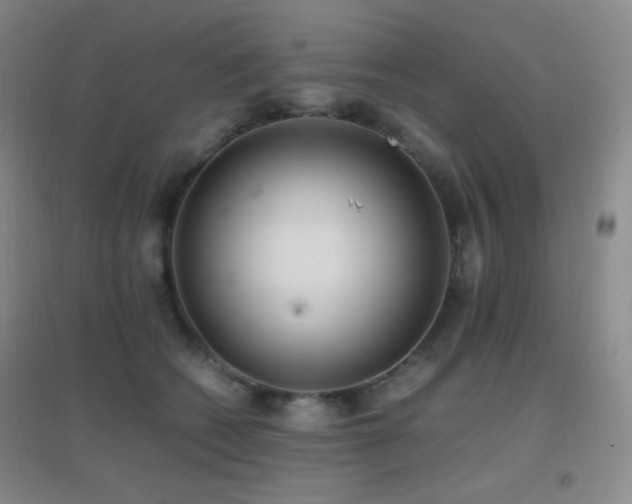 X0000096730562200802051443