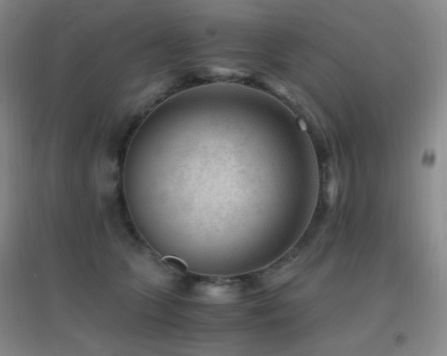 X0000096730563200802051443