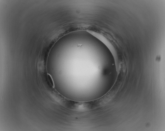 X0000096730564200802051443