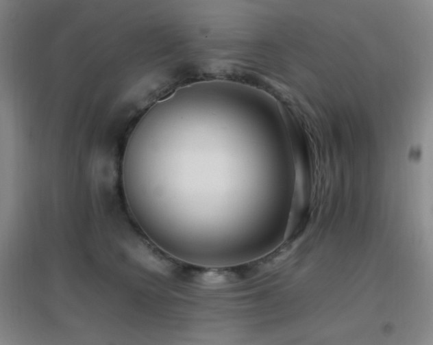 X0000096730566200802051443