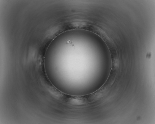 X0000096730567200802051443