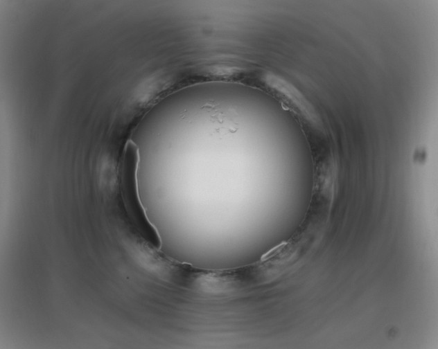 X0000096730568200802051443