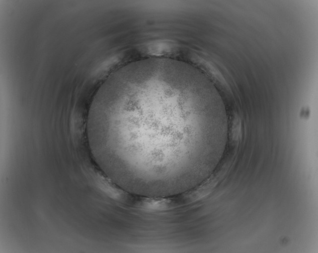 X0000096730569200802051443