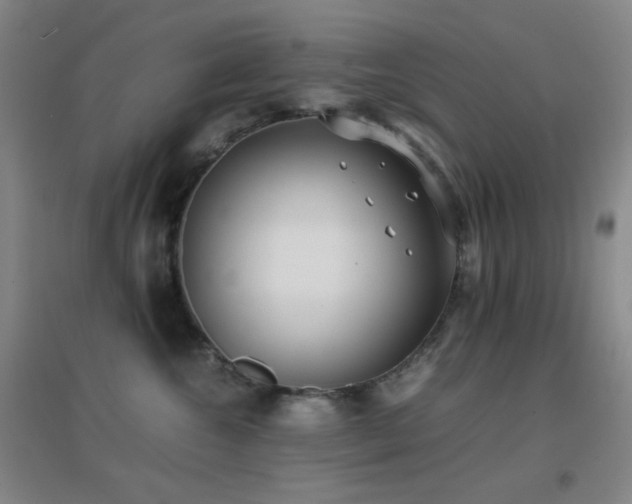 X0000096730572200802051443