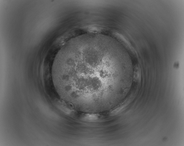 X0000096730573200802051443
