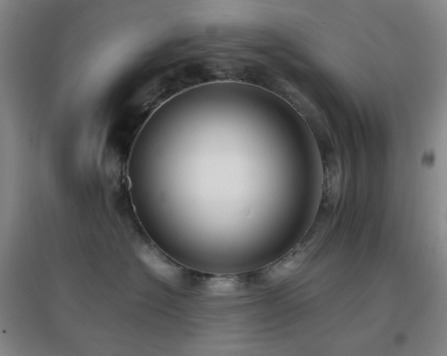 X0000096730574200802051443