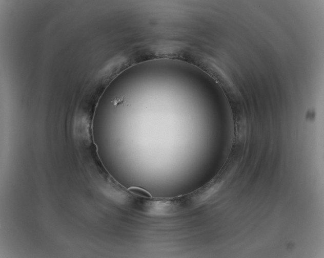 X0000096730575200802051443