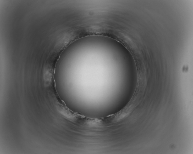 X0000096730576200802051443