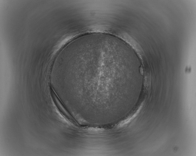X0000096730577200802051442