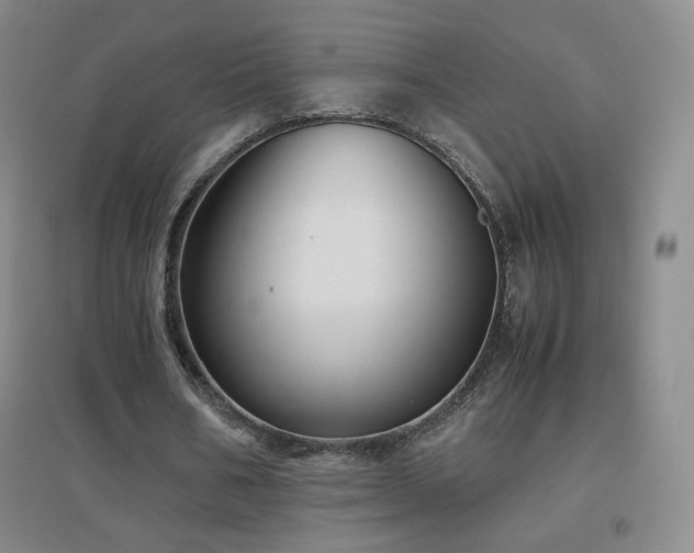 X0000096730578200802051442