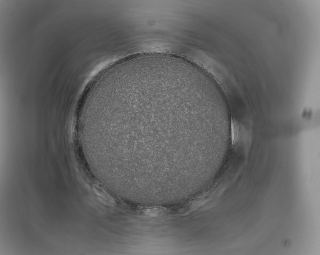 X0000096730579200802051442