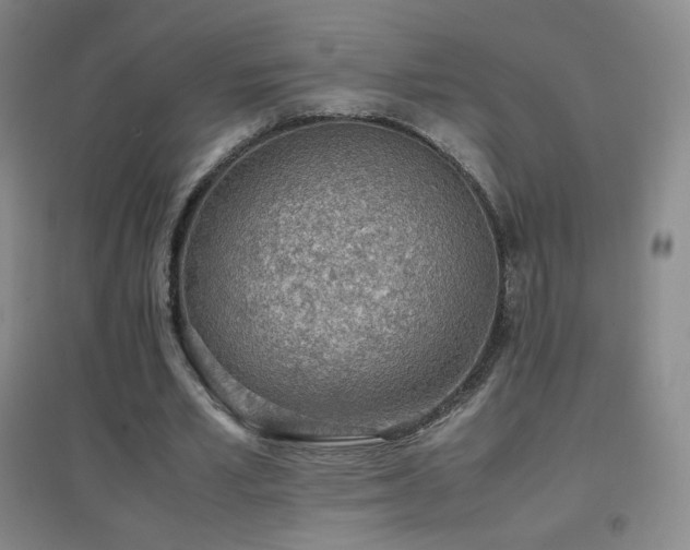 X0000096730581200802051442