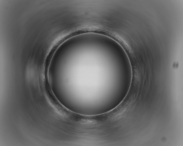 X0000096730582200802051442