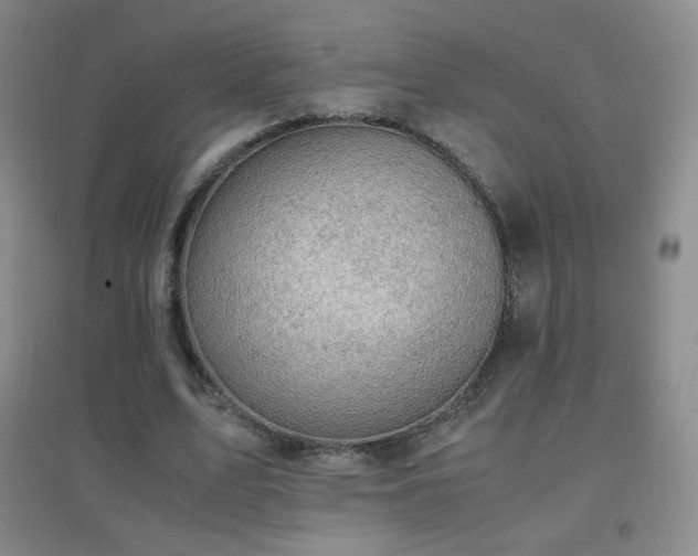 X0000096730583200802051442