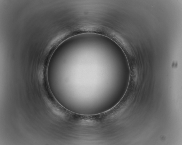 X0000096730586200802051442