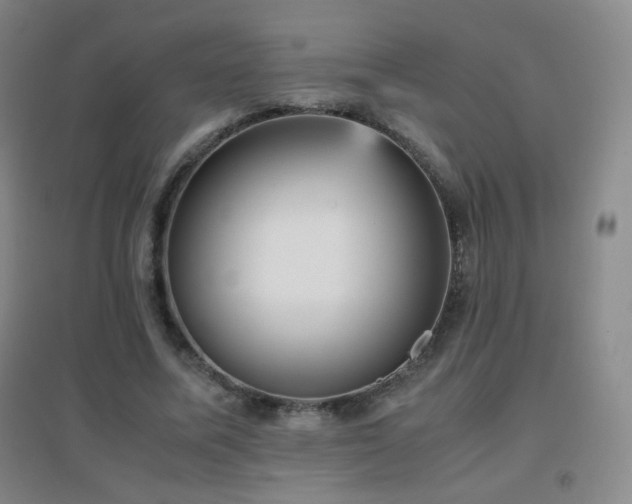 X0000096730587200802051442