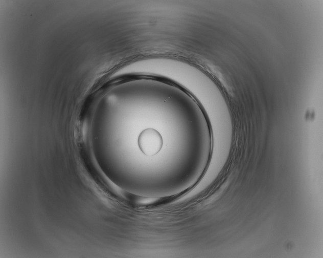 X0000096730589200802051442