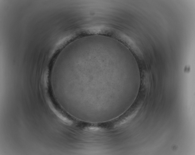 X0000096730590200802051442