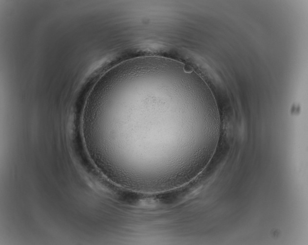 X0000096730591200802051442