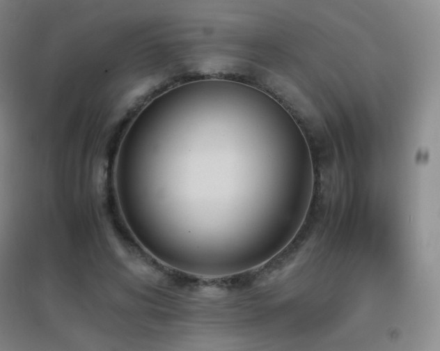 X0000096730592200802051442