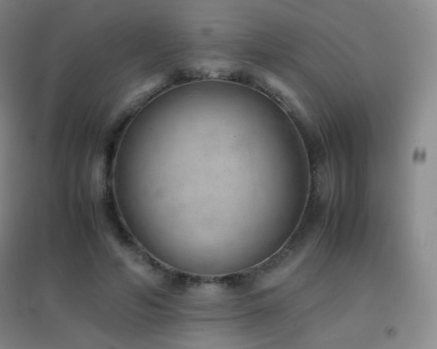 X0000096730594200802051442