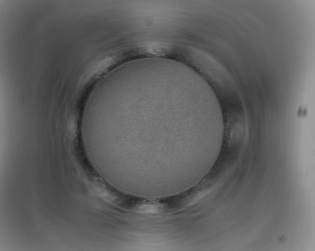 X0000096730595200802051442