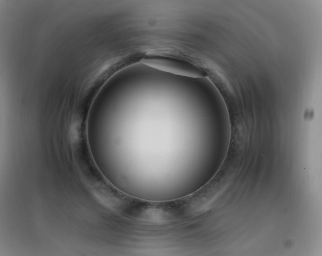 X0000096730596200802051442