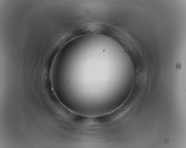 X0000096730597200802051442