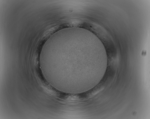 X0000096730599200802051442