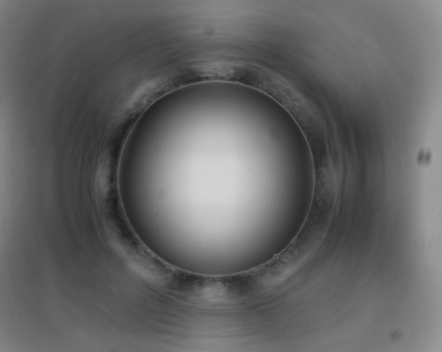 X0000096730600200802051442