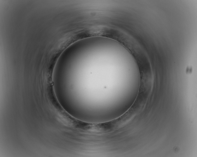 X0000096730601200802051442