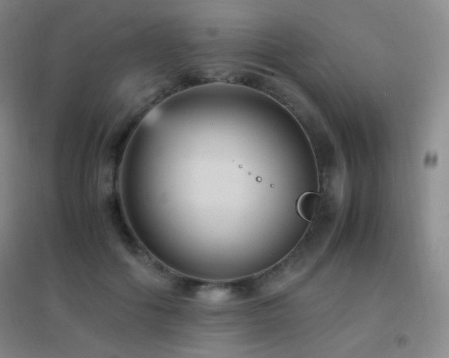 X0000096730602200802051442