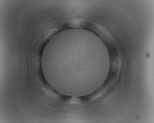 X0000096730603200802051442