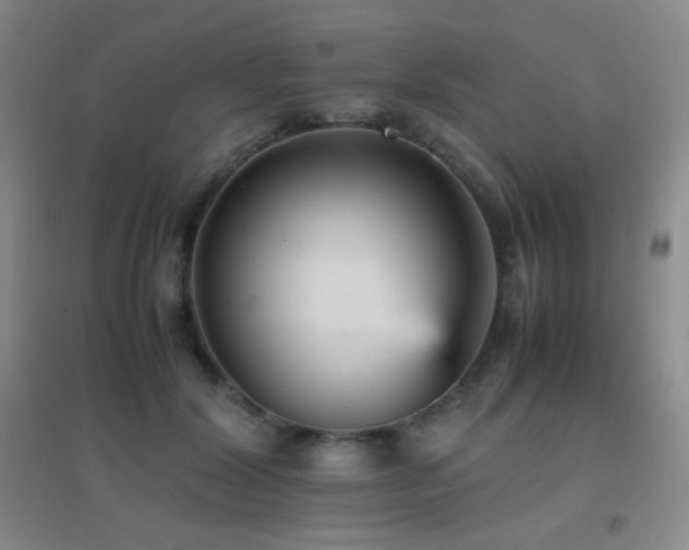 X0000096730604200802051442