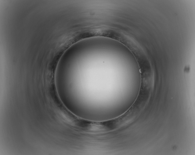 X0000096730605200802051442