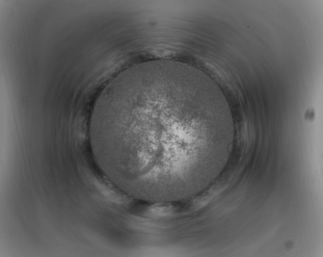 X0000096730606200802051442