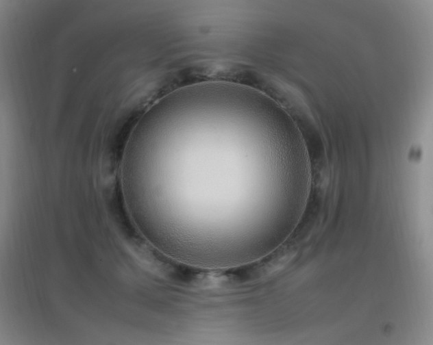 X0000096730607200802051442