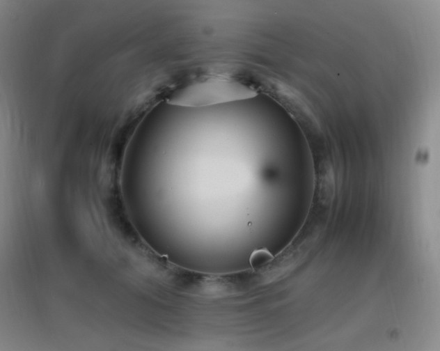 X0000096730608200802051442