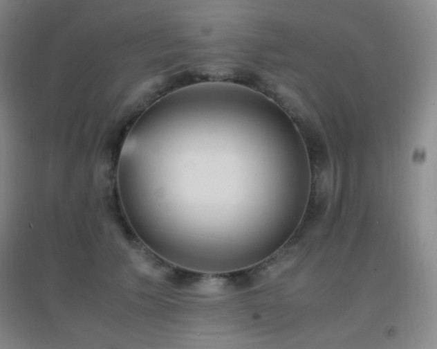 X0000096730609200802051442