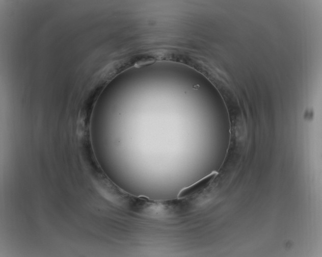 X0000096730611200802051442