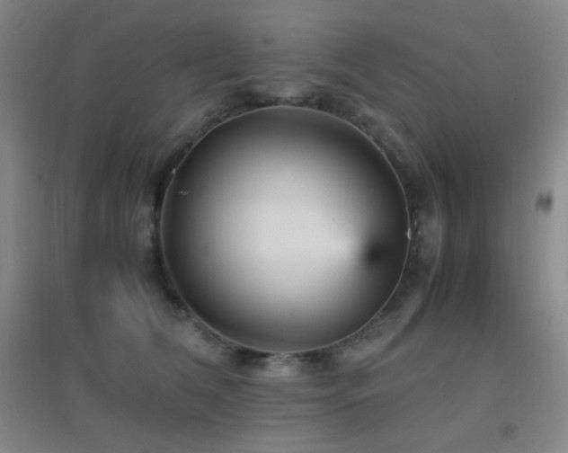 X0000096730612200802051442