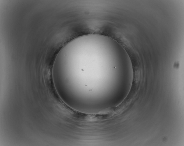 X0000096730613200802051442