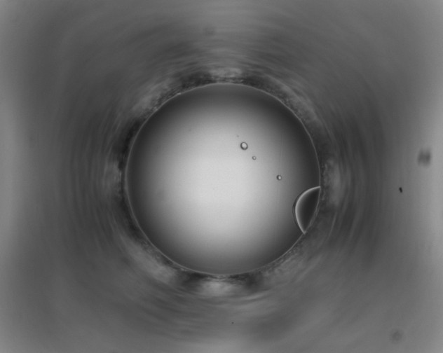 X0000096730614200802051442