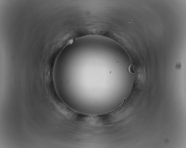 X0000096730615200802051442